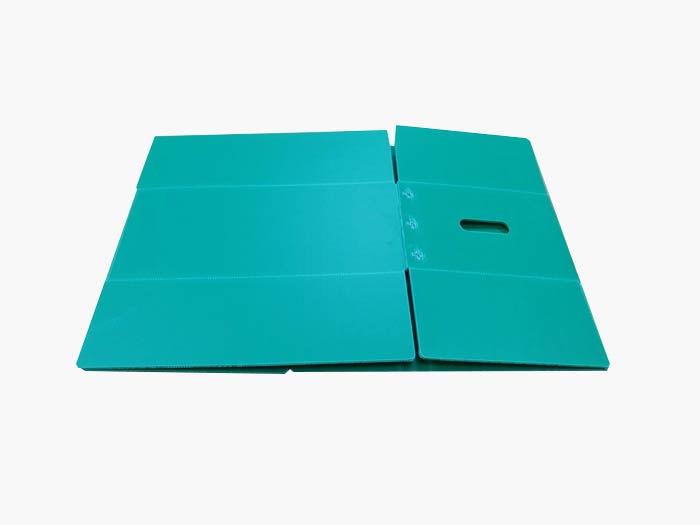 工廠擴建圓滿竣工，中空板周轉箱產能實現飛躍式增長